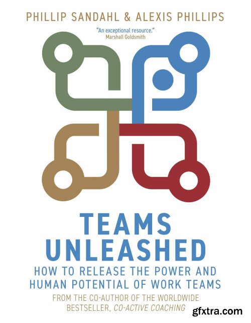 Teams Unleashed: How to Release the Power and Human Potential of Work Teams