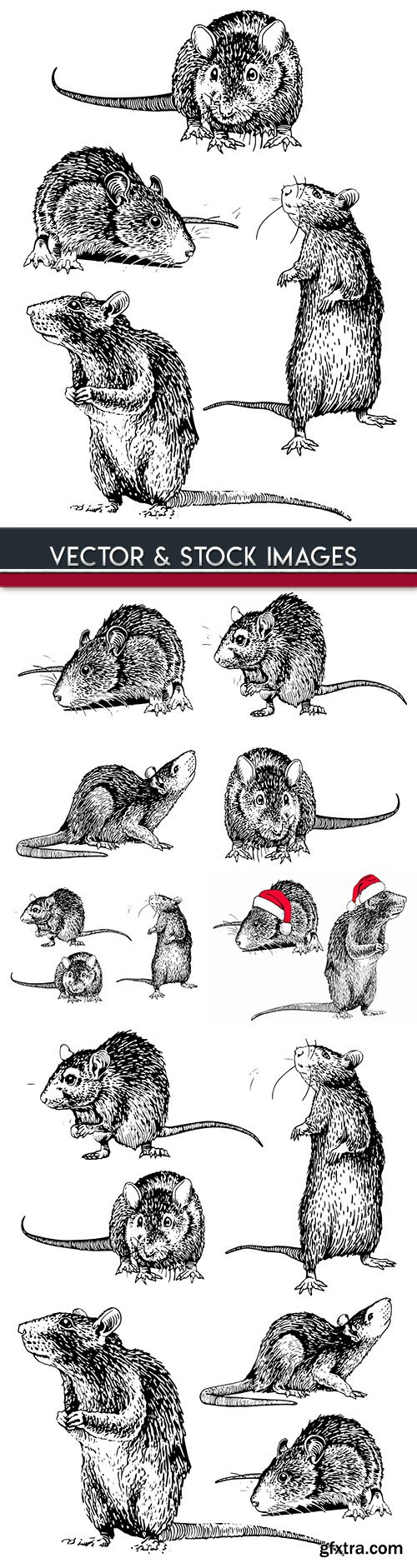 Mouse drawn illustrations symbol new Years