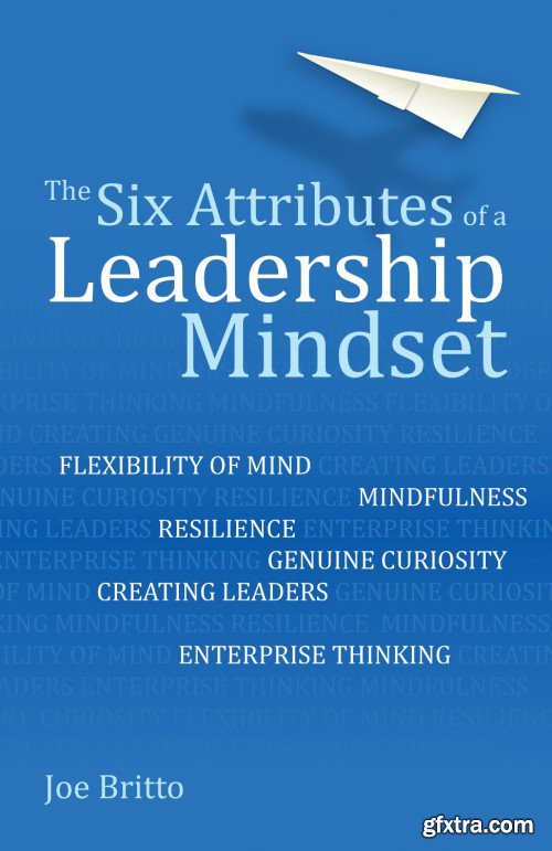 The Six Attributes of a Leadership Mindset: Flexibility of mind, mindfulness, resilience, genuine curiosity, creating leaders