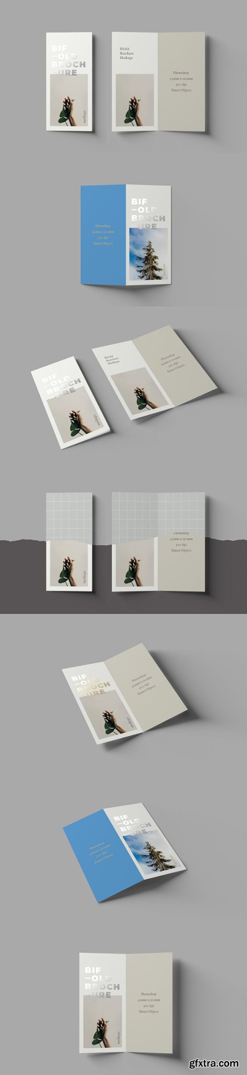 Bifold DL Brochure Mockups