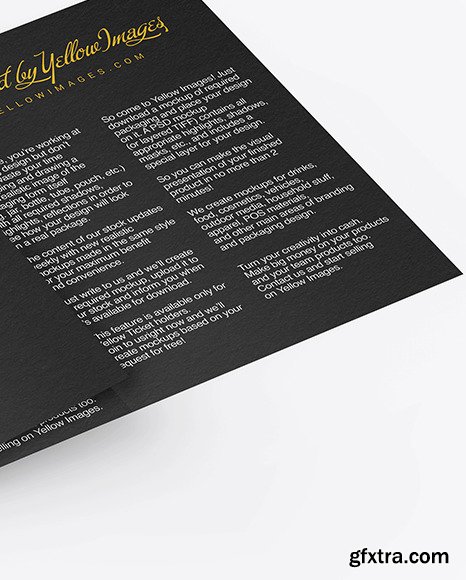 Textured Brochure Mockup 50001