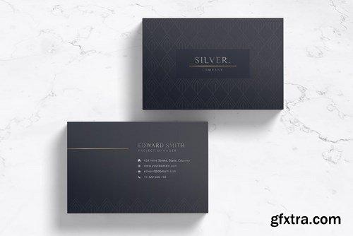 Elegant Business Card 2