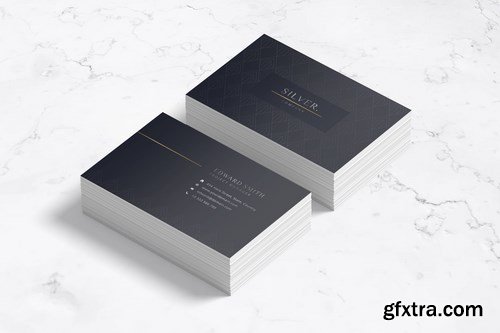 Elegant Business Card 2