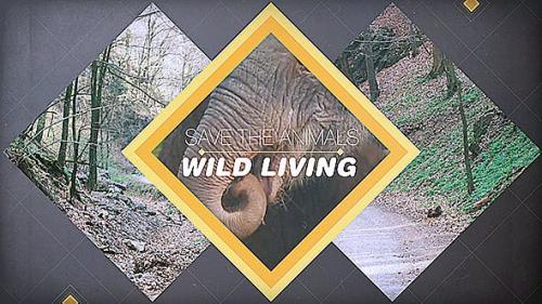 Udemy - Wild Living