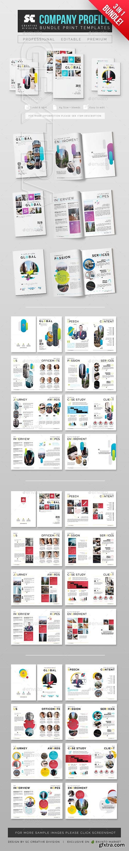 GraphicRiver - Company Profile Bundle 3 In 1 24776320