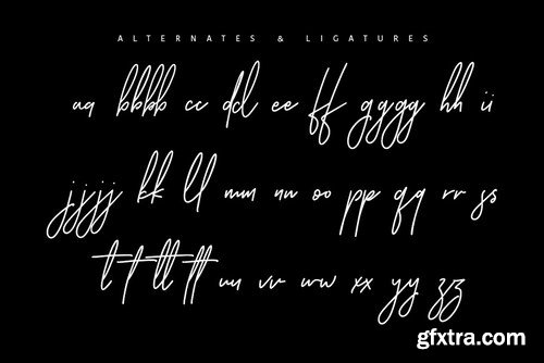 CM - Ansterdam - Clean Signature Font 3173766