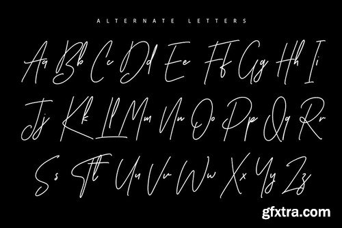 CM - Ansterdam - Clean Signature Font 3173766