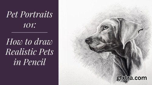 Pet Portraits 101: How to Draw Pets in Pencil