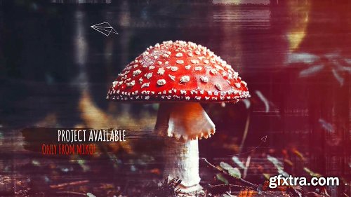 Videohive Photo Slideshow 22412516