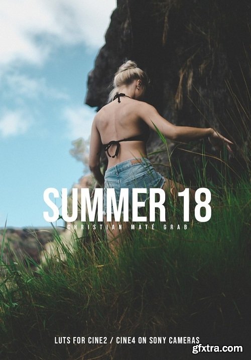 SUMMER 18 LUTs (Win/MacOS)