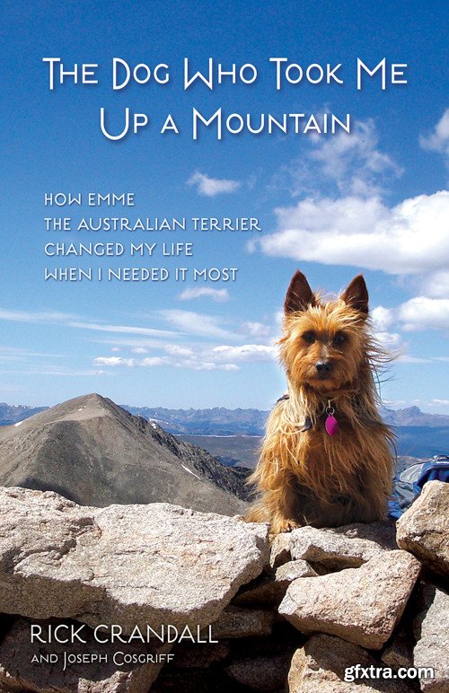 The Dog Who Took Me Up a Mountain: How Emme the Australian Terrier Changed My Life When I Needed It Most