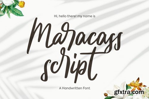 CM - Maracass Script 4187117