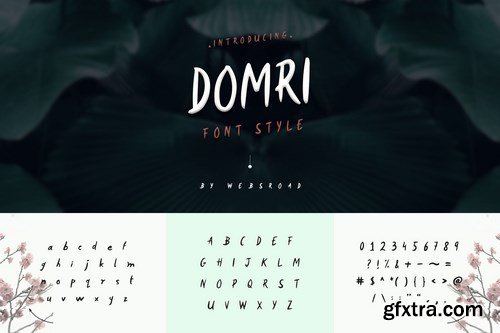 Domri - Fresh Handwritten Font Style