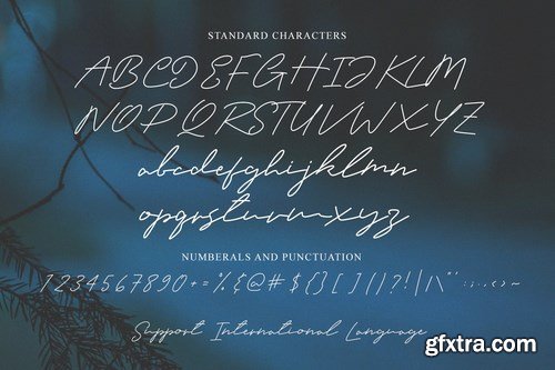 Camela - Beauty Signature Font