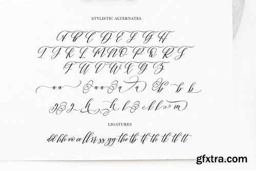 CM - Shington Script 4191327