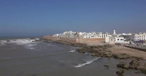 Seagulls Over Essaouira Old City in Morocco - Q2MEKBD