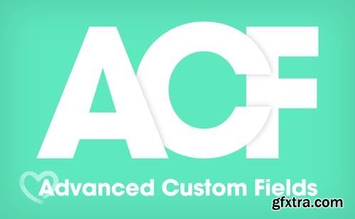 Advanced Custom Fields Pro v5.8.5 - WordPress Plugin