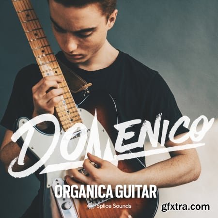 DOMENICO Organica Guitar WAV