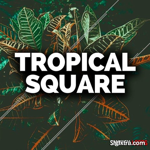 Smokey Loops Tropical Square WAV MiDi