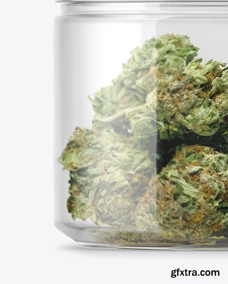 Download Medicinal Marijuana Jar Mockup 49933 » GFxtra