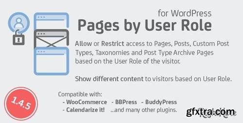 CodeCanyon - Pages by User Role for WordPress v1.4.5.86663 - 136020