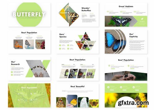 Butterfly - Powerpoint Google Slides and Keynote Templates