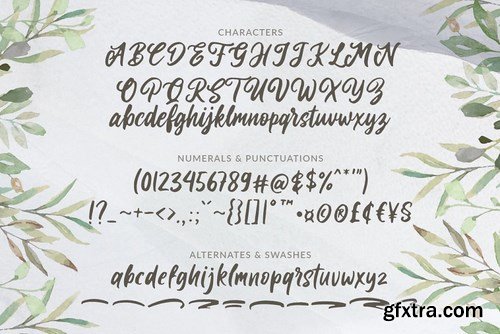 CM - Laritta - Handbrush Script 4210227