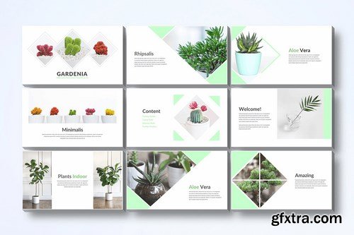 Gardenia - Powerpoint Google Slides and Keynote Templates