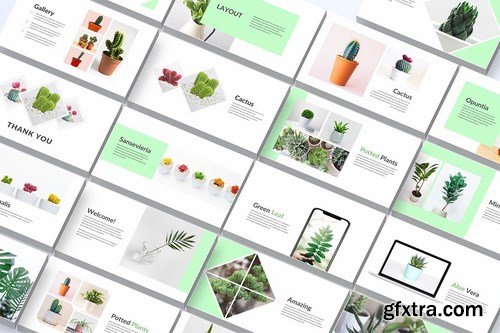 Gardenia - Powerpoint Google Slides and Keynote Templates