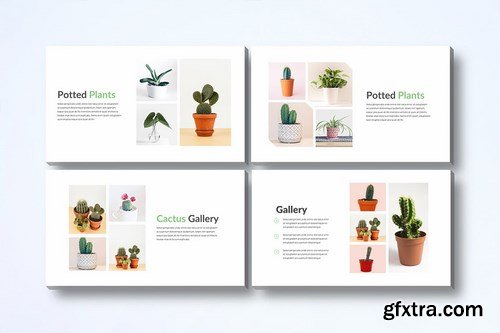 Gardenia - Powerpoint Google Slides and Keynote Templates