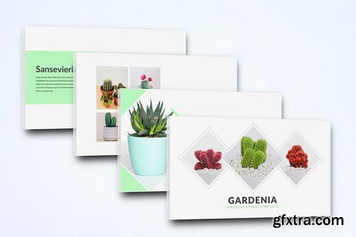 Gardenia - Powerpoint Google Slides and Keynote Templates