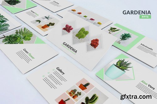 Gardenia - Powerpoint Google Slides and Keynote Templates