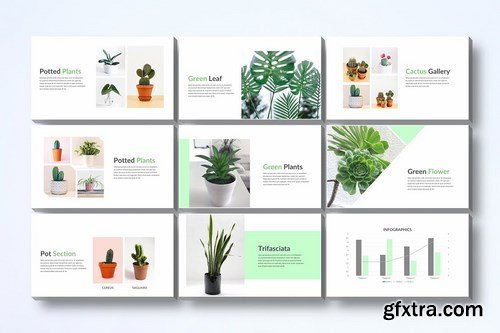 Gardenia - Powerpoint Google Slides and Keynote Templates