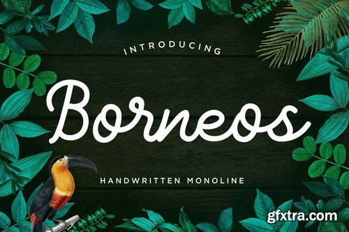 Borneos - Monoline Handwriting