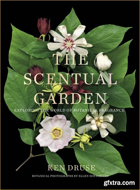 The Scentual Garden: Exploring the World of Botanical Fragrance