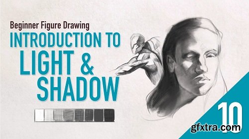 Beginner Figure Drawing - Introduction to Light and Shadow