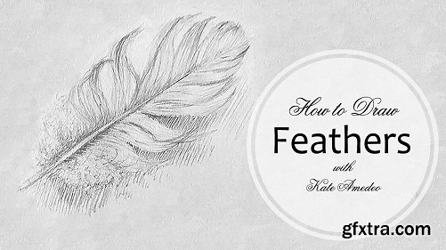 How to Draw Feathers