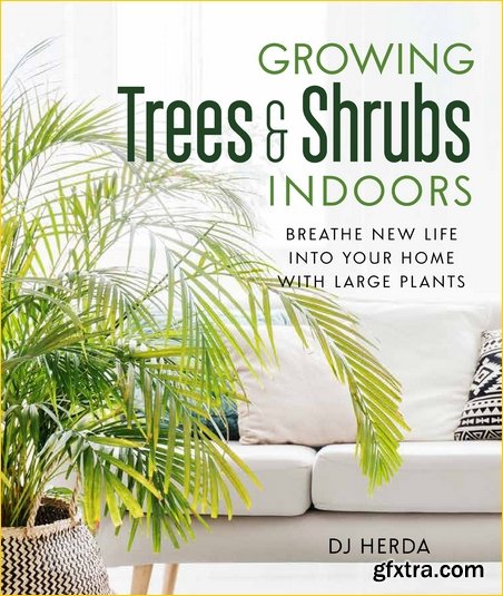 Growing Trees and Shrubs Indoors: Breathe New Life into Your Home with Large Plants