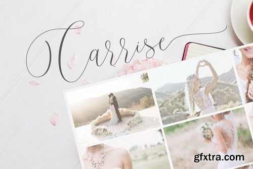 Purelove Script Font