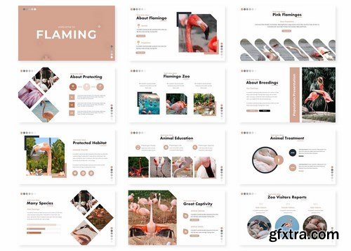 Flaming - Powerpoint Google Slides and Keynote Templates