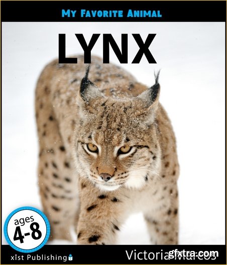 My Favorite Animal: Lynx