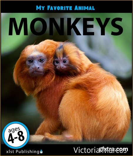 My Favorite Animal: Monkeys