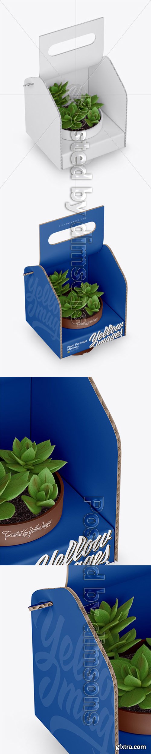 Box with Plant Mockup - Half Side View 30926