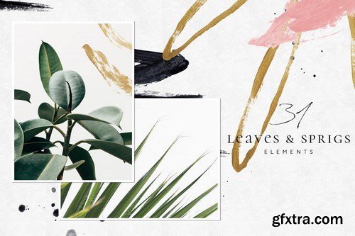 Tropical Foliage Illustration Pack