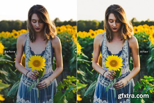 Jonquil Mobile & Desktop Lightroom Presets