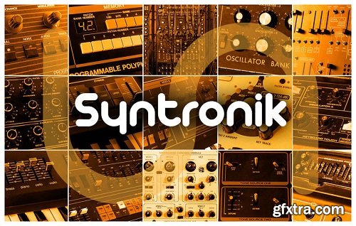 IK Multimedia Syntronik Bonus Content HYBRID-R2R