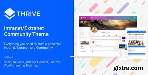 ThemeForest - Thrive v3.1.7 - Intranet/Extranet/Community WordPress Theme - 12275020