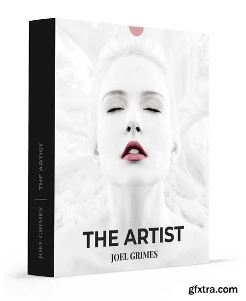 Joel Grimes Workshops - The Artist