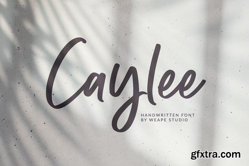 CM - Caylee Script 4231901