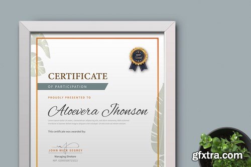 Certificate Diploma Template Pro